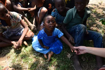 DSC_9071 (Large).JPG